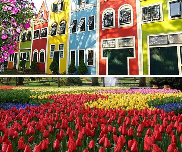 29/09/2024 - EXPOFLORA EM HOLAMBRA - SP! A maior exposição de flores e plantas ornamentais da América Latina está de volta!!!