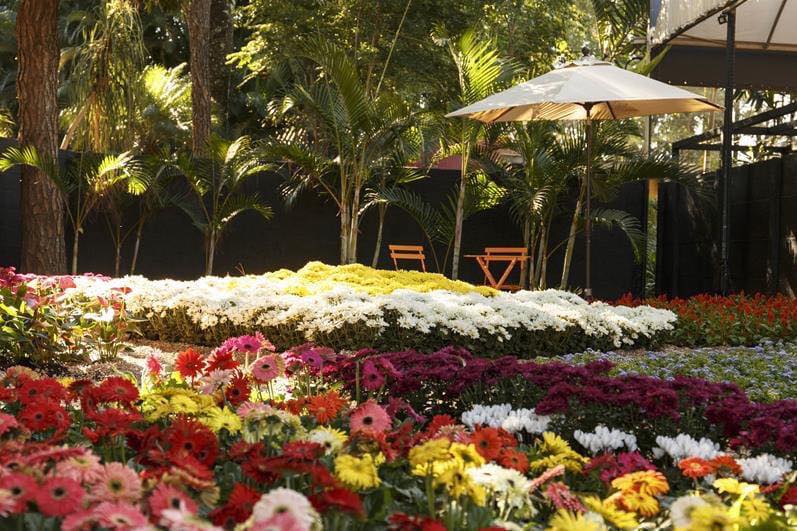 08/09/2024 - EXPOFLORA EM HOLAMBRA - SP! A maior exposição de flores e plantas ornamentais da América Latina está de volta!!!